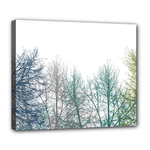 Multicolor Graphic Botanical Print Deluxe Canvas 24  X 20  (stretched)