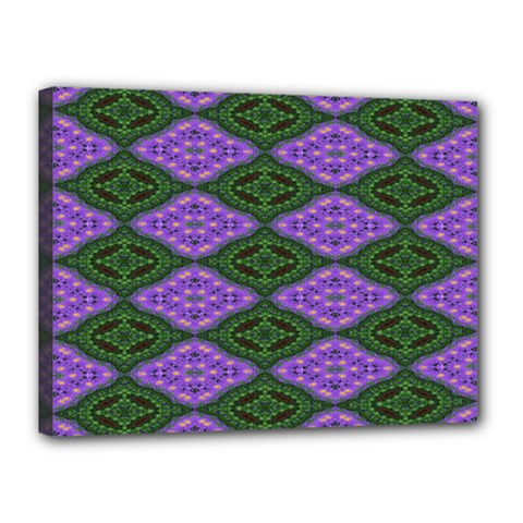 Digital Grapes Canvas 16  X 12  (stretched) by Sparkle