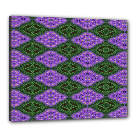 Digital Grapes Canvas 24  X 20  (stretched) by Sparkle