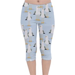 Cute Seagulls Seamless Pattern Light Blue Background Velvet Capri Leggings  by Wegoenart