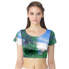 The Deep Blue Sky Short Sleeve Crop Top by Fractalsandkaleidoscopes