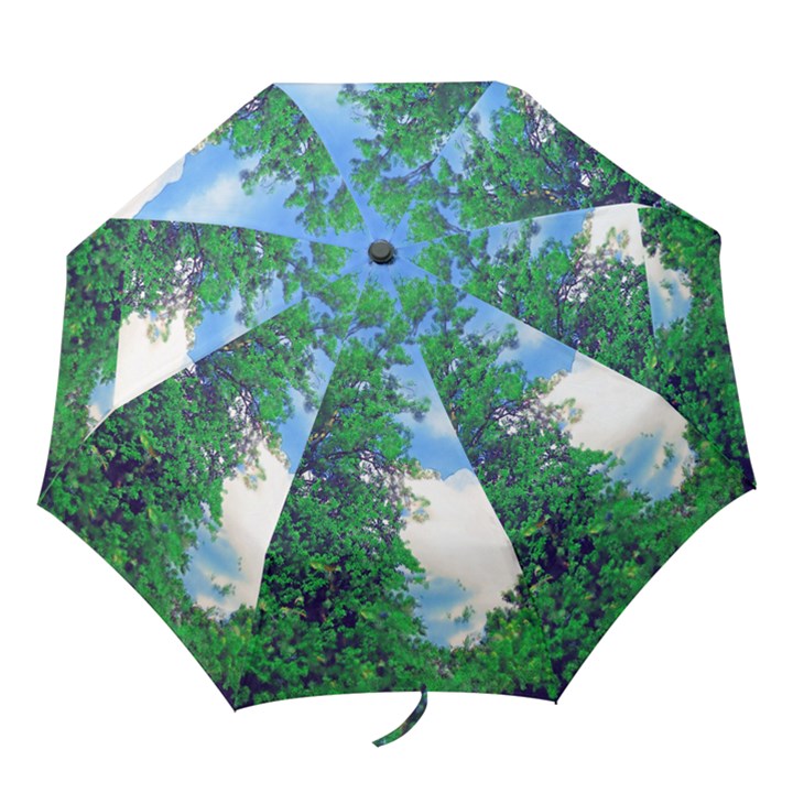 The Deep Blue Sky Folding Umbrellas