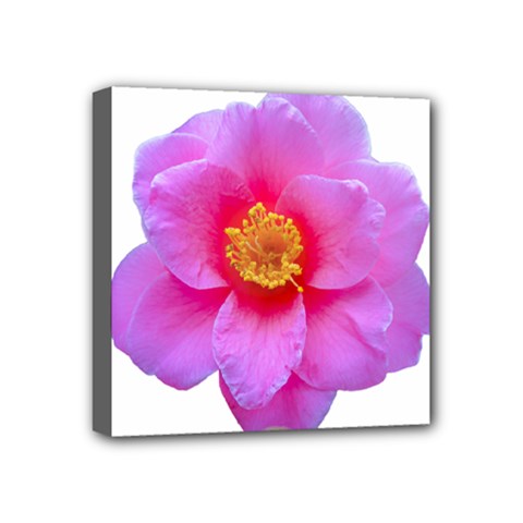 Beauty Violet Flower Photo Print Mini Canvas 4  X 4  (stretched) by dflcprintsclothing