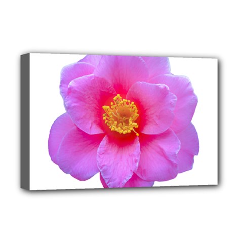 Beauty Violet Flower Photo Print Deluxe Canvas 18  X 12  (stretched)