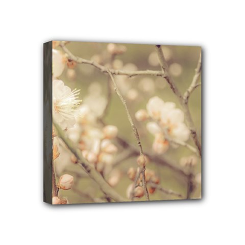 Sakura Flowers, Imperial Palace Park, Tokyo, Japan Mini Canvas 4  X 4  (stretched) by dflcprintsclothing