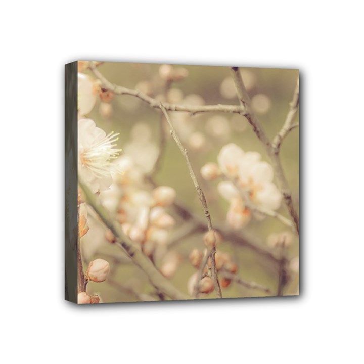 Sakura Flowers, Imperial Palace Park, Tokyo, Japan Mini Canvas 4  x 4  (Stretched)