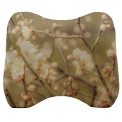 Sakura Flowers, Imperial Palace Park, Tokyo, Japan Velour Head Support Cushion by dflcprintsclothing