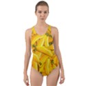 Geometric Bananas Cut-Out Back One Piece Swimsuit View1