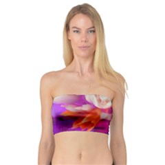 Poppy Flower Bandeau Top by Sparkle