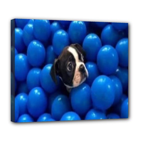 Cute Balls Puppy Deluxe Canvas 24  X 20  (stretched) by Sparkle