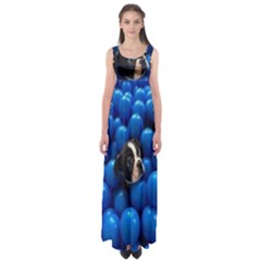 Cute Balls Puppy Empire Waist Maxi Dress by Sparkle