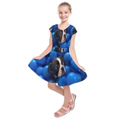 Cute Balls Puppy Kids  Short Sleeve Dress by Sparkle