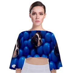 Cute Balls Puppy Tie Back Butterfly Sleeve Chiffon Top by Sparkle