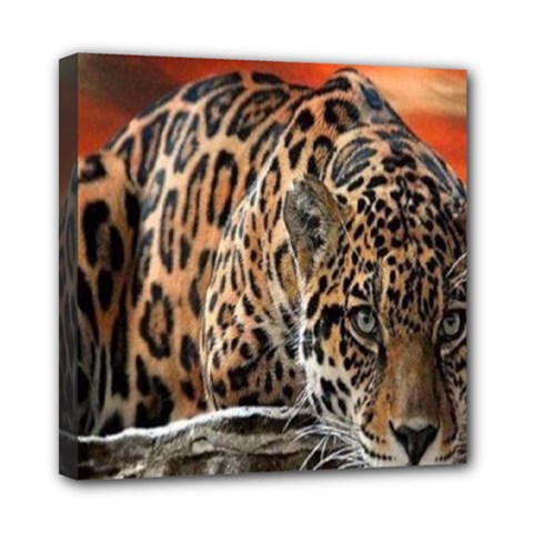 Nature With Tiger Mini Canvas 8  X 8  (stretched) by Sparkle