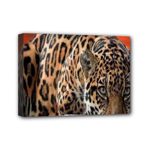 Nature With Tiger Mini Canvas 7  X 5  (stretched) by Sparkle