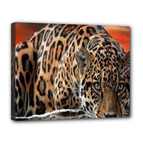 Nature With Tiger Canvas 14  X 11  (stretched) by Sparkle