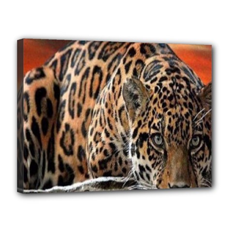 Nature With Tiger Canvas 16  X 12  (stretched) by Sparkle