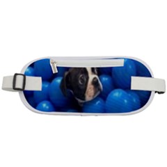 Cute Balls Puppy Rounded Waist Pouch