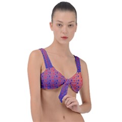 Animal Paws Front Tie Bikini Top