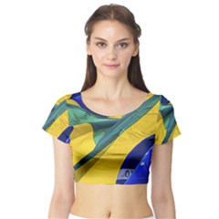 Brazil Flags Waving Background Short Sleeve Crop Top by dflcprintsclothing