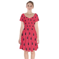 Seamless Watermelon Surface Texture Short Sleeve Bardot Dress by Vaneshart