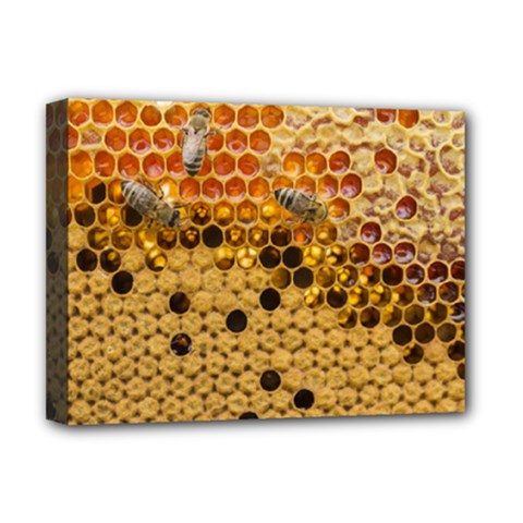 Top View Honeycomb Deluxe Canvas 16  X 12  (stretched)  by Vaneshart