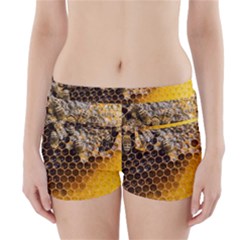 Honeycomb With Bees Boyleg Bikini Wrap Bottoms by Vaneshart