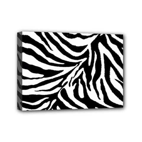 Zebra 1 Mini Canvas 7  X 5  (stretched) by dressshop