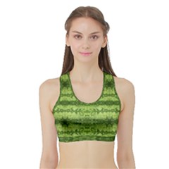 Watermelon Pattern, Fruit Skin In Green Colors Sports Bra With Border