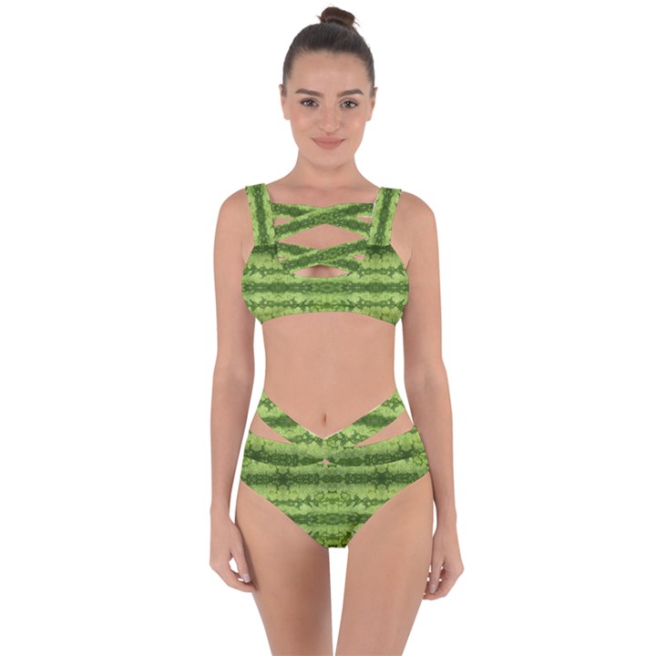 Watermelon pattern, fruit skin in green colors Bandaged Up Bikini Set 