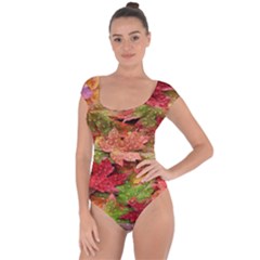 Spring Leafs Short Sleeve Leotard 