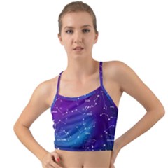 Realistic-night-sky-poster-with-constellations Mini Tank Bikini Top by Vaneshart