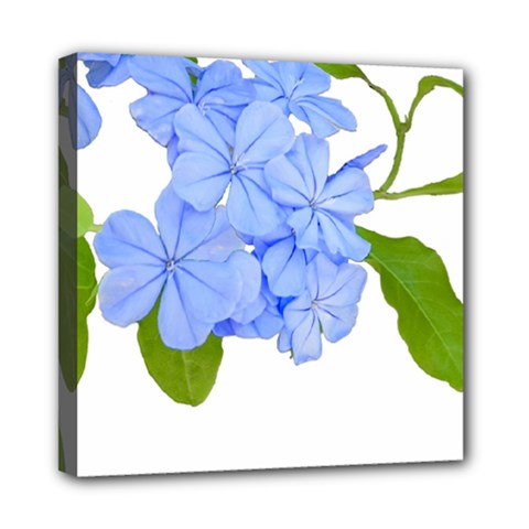 Botanical Floral Print Stylized Photo Mini Canvas 8  X 8  (stretched) by dflcprintsclothing