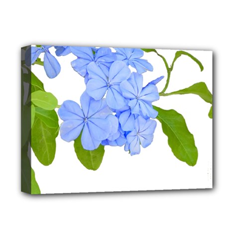 Botanical Floral Print Stylized Photo Deluxe Canvas 16  X 12  (stretched)  by dflcprintsclothing