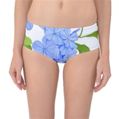 Botanical Floral Print Stylized Photo Mid-waist Bikini Bottoms by dflcprintsclothing