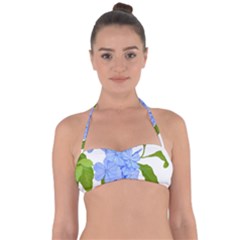 Botanical Floral Print Stylized Photo Halter Bandeau Bikini Top by dflcprintsclothing