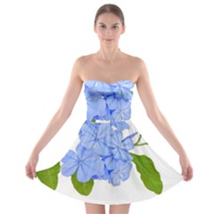 Botanical Floral Print Stylized Photo Strapless Bra Top Dress