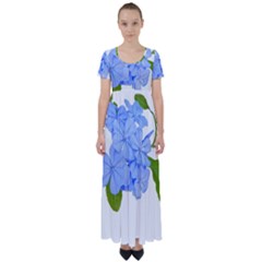 Botanical Floral Print Stylized Photo High Waist Short Sleeve Maxi Dress by dflcprintsclothing