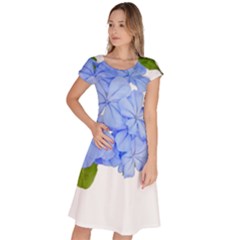 Botanical Floral Print Stylized Photo Classic Short Sleeve Dress by dflcprintsclothing