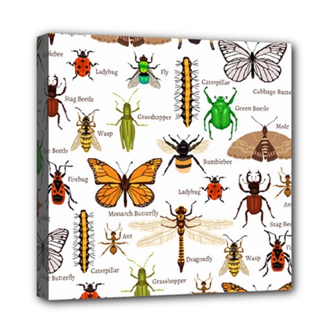 Insects Seamless Pattern Mini Canvas 8  X 8  (stretched) by Vaneshart