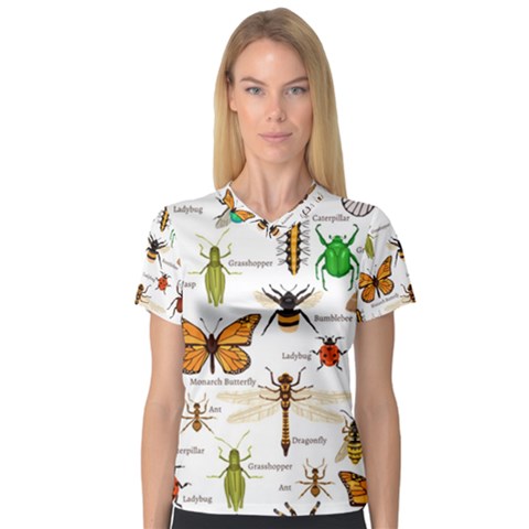 Insects Seamless Pattern V-neck Sport Mesh Tee by Vaneshart