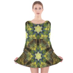 Fractal Fantasy Design Background Long Sleeve Velvet Skater Dress