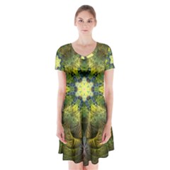 Fractal Fantasy Design Background Short Sleeve V-neck Flare Dress