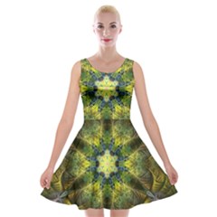 Fractal Fantasy Design Background Velvet Skater Dress