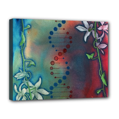 Flower Dna Canvas 14  X 11  (stretched) by RobLilly