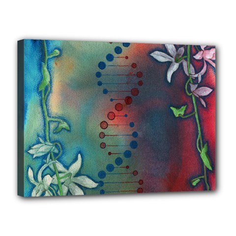 Flower Dna Canvas 16  X 12  (stretched) by RobLilly