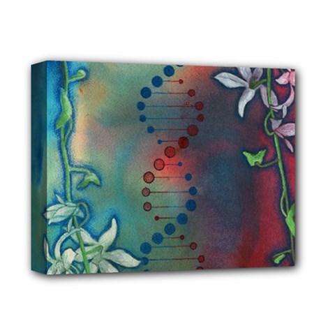 Flower Dna Deluxe Canvas 14  X 11  (stretched) by RobLilly