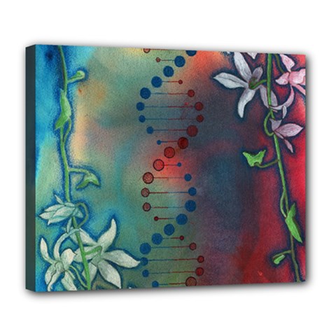 Flower Dna Deluxe Canvas 24  X 20  (stretched) by RobLilly