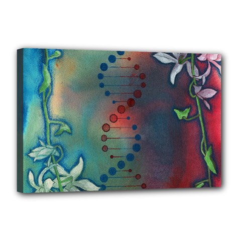 Flower Dna Canvas 18  X 12  (stretched) by RobLilly