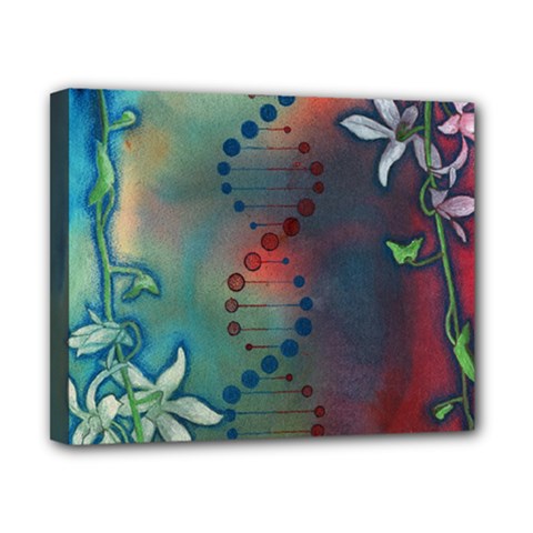 Flower Dna Canvas 10  X 8  (stretched) by RobLilly